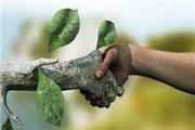 شروع مجدد فعالیت کارگروه محیط‌زیست حاما