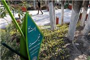 نامه جمعی از احزاب به شهردار و رییس شورای شهر تهران درباره حواشی ساخت مسجد در بوستان قیطریه