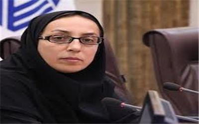 شوراهای اجتماعی محلات بستر تمام کارهایی است که همه دستگاه‌های متولی در برنامه‌هایشان نیاز به ارتباط با مردم و شنیدن نقطه‌نظرات آن‌ها دارند.