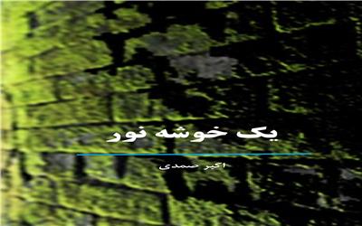 مجبوریم واقعیت را بنویسیم درحالی‌که حقیقت،  چیز دیگریست.