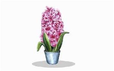 پیام نوروزی  الهام اسکندری