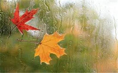 من پاییز سرد می‌خواهم