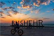 چرا همچنان استان بوشهر با چالشهای تاریخی‌اش مواجه است
